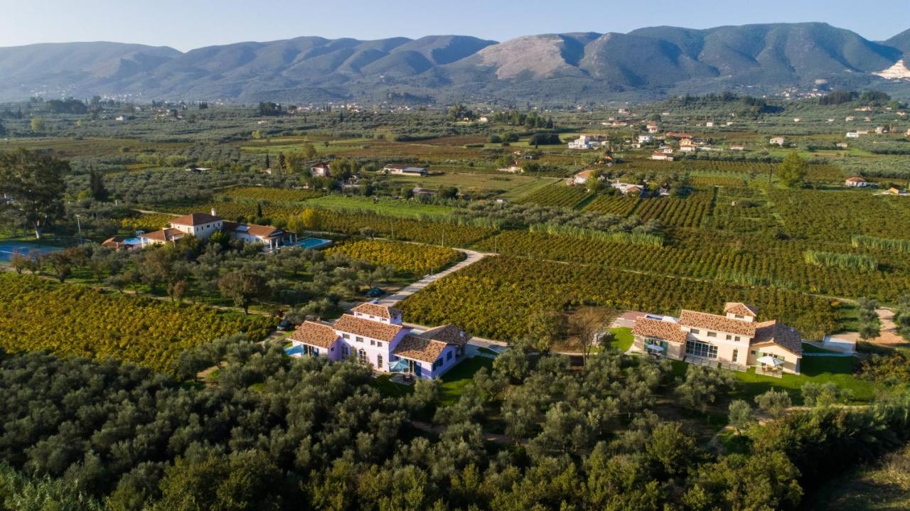 Aneli Luxury Villas - Villa Semeli Áyios Kírikos Kültér fotó