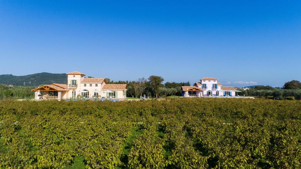 Aneli Luxury Villas - Villa Semeli Áyios Kírikos Kültér fotó