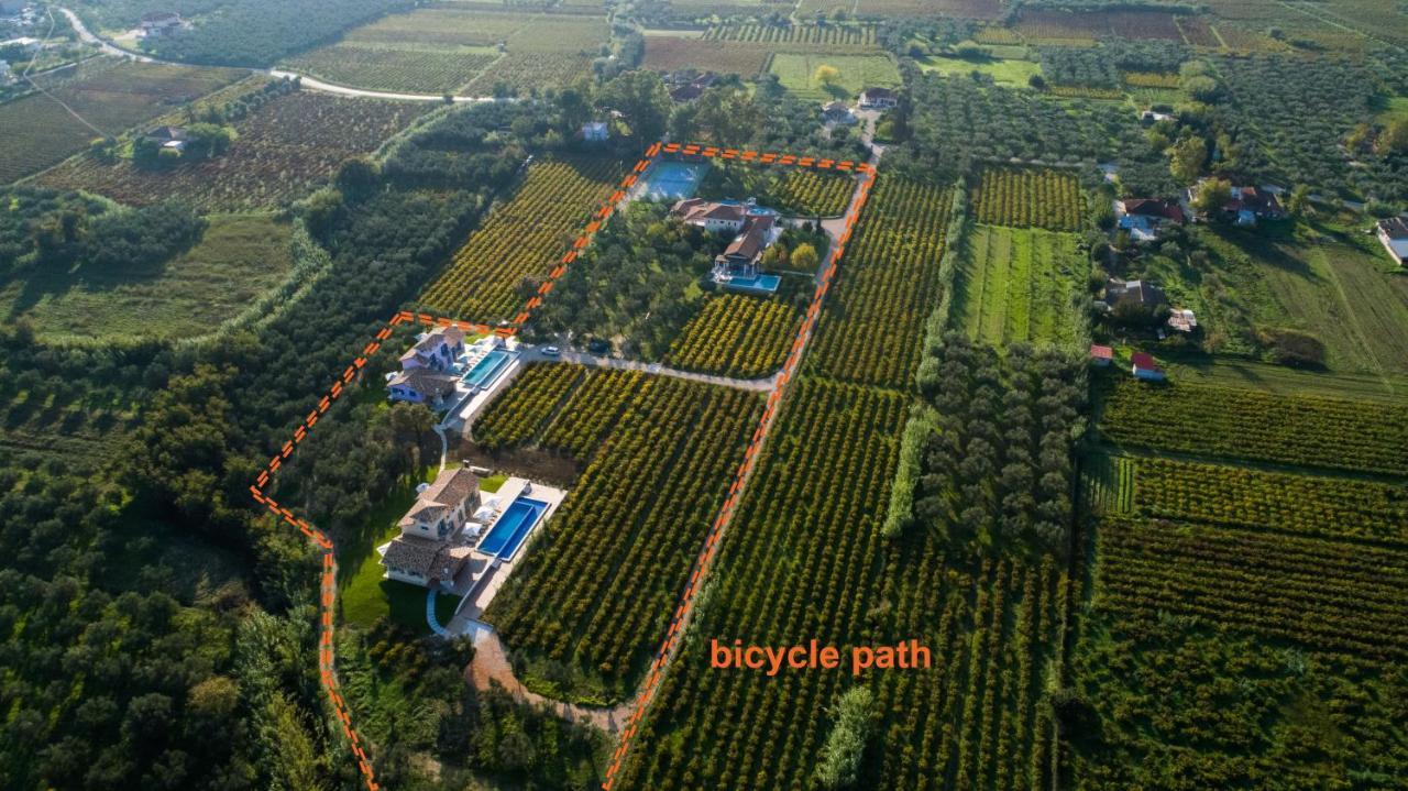 Aneli Luxury Villas - Villa Semeli Áyios Kírikos Kültér fotó